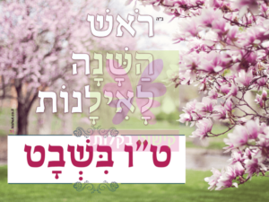 הפנינג טו בשבט מרכז קהילתי בית אברהם