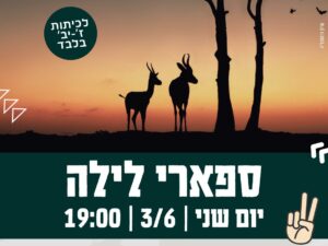 ספארי לילה-נוער ז'-יב'