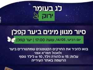 מגוון מינים לכבוד ל"ג בעומר