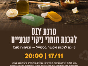 סדנת DIY להכנת חומרי ניקוי טבעיים