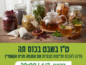 סדנה לחליטות תה לטו בשבט