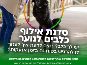אילוף כלבים לנוער - 3 מפגשים בזום - כיתות ז'-יב'