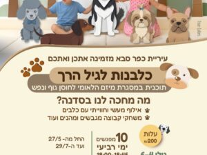 כלבנות 4-6 סבב נוסף