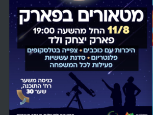 ליל מטאורים בפארק